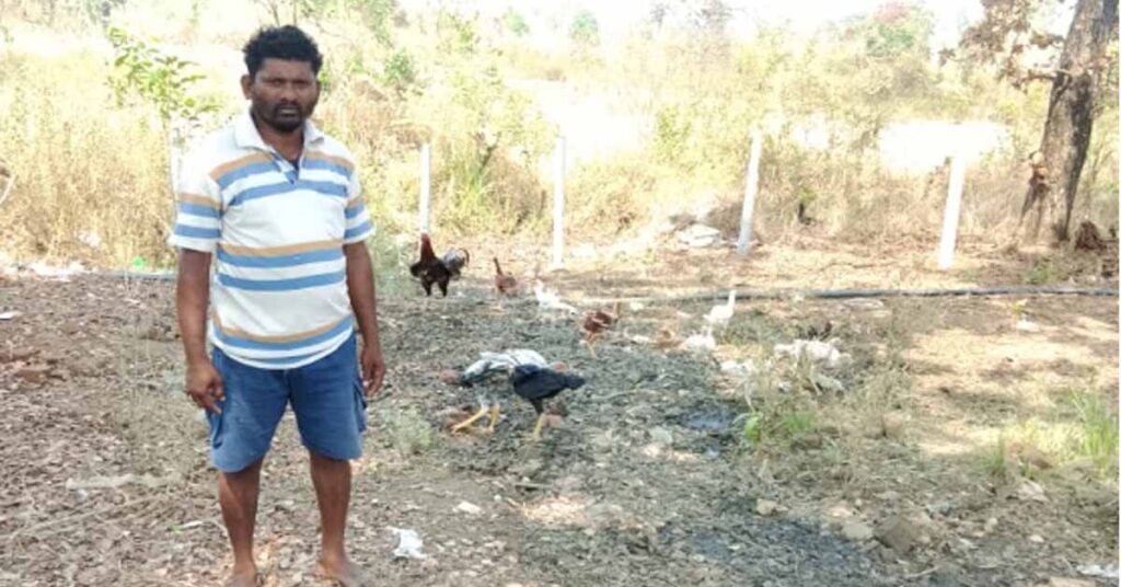 बीजापुर के किसान की सफलता: खेती के साथ अपनाया मुर्गी पालन, अब हर साल हो रही हजारों की अतिरिक्त कमाई