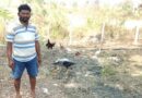 बीजापुर के किसान की सफलता: खेती के साथ अपनाया मुर्गी पालन, अब हर साल हो रही हजारों की अतिरिक्त कमाई