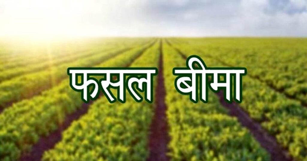 किसानों के लिए जरूरी खबर: 31 जुलाई तक कराएं फसल बीमा, प्राकृतिक आपदा में मिलेगा आर्थिक सुरक्षा कवच