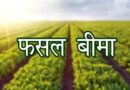 किसानों के लिए जरूरी खबर: 31 जुलाई तक कराएं फसल बीमा, प्राकृतिक आपदा में मिलेगा आर्थिक सुरक्षा कवच
