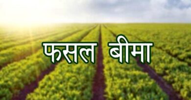 किसानों के लिए जरूरी खबर: 31 जुलाई तक कराएं फसल बीमा, प्राकृतिक आपदा में मिलेगा आर्थिक सुरक्षा कवच