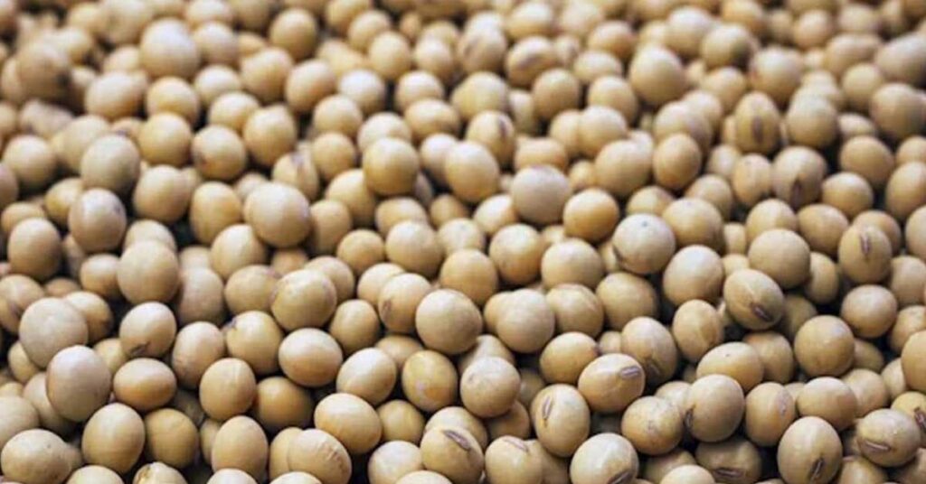 आज का सोयाबीन मंडी रेट (04 जुलाई 2026) 