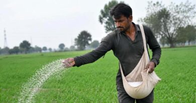 किसान ध्यान दें: MRP से ज्यादा कीमत पर खाद बेचने वालों पर होगी सख्त कार्रवाई, लाइसेंस तक हो सकता है रद्द  
