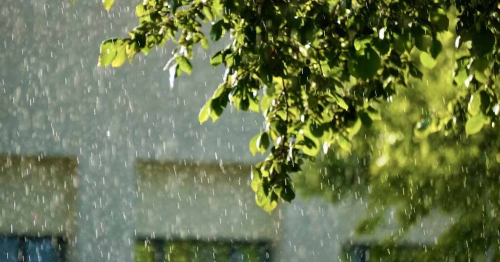 MP Weather Today: मध्यप्रदेश में झमाझम बरसे बादल, पचोर में 168 मिमी बारिश; हरदा-खंडवा-देवास में अति भारी वर्षा का रेड अलर्ट