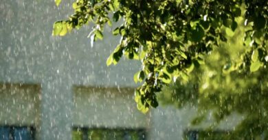 MP Weather Today: मध्यप्रदेश में झमाझम बरसे बादल, पचोर में 168 मिमी बारिश; हरदा-खंडवा-देवास में अति भारी वर्षा का रेड अलर्ट