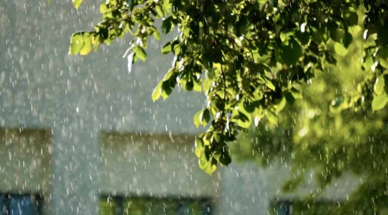 MP Weather Today: मध्यप्रदेश में झमाझम बरसे बादल, पचोर में 168 मिमी बारिश; हरदा-खंडवा-देवास में अति भारी वर्षा का रेड अलर्ट