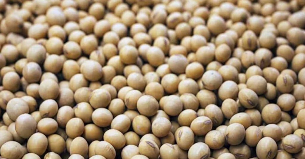 आज का सोयाबीन मंडी रेट (03 जुलाई 2026)