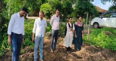 मध्यप्रदेश: काली तुलसी, अश्वगंधा और मुनगा की खेती से बढ़ेगी किसानों की कमाई, उद्यानिकी विभाग ने शुरू किया विशेष अभियान