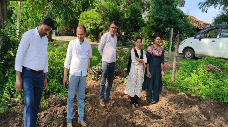 मध्यप्रदेश: काली तुलसी, अश्वगंधा और मुनगा की खेती से बढ़ेगी किसानों की कमाई, उद्यानिकी विभाग ने शुरू किया विशेष अभियान