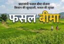अंतिम तिथि नजदीक! किसान 31 जुलाई तक प्रधानमंत्री फसल बीमा योजना का जरूर उठाएं लाभ