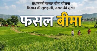 अंतिम तिथि नजदीक! किसान 31 जुलाई तक प्रधानमंत्री फसल बीमा योजना का जरूर उठाएं लाभ
