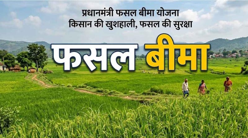 अंतिम तिथि नजदीक! किसान 31 जुलाई तक प्रधानमंत्री फसल बीमा योजना का जरूर उठाएं लाभ