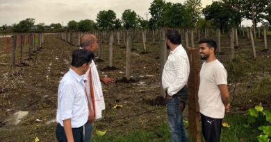 एक बार लगाएं, कई साल तक कमाएं! ड्रैगन फ्रूट की खेती से किसानों के लिए खुल रही नई राह