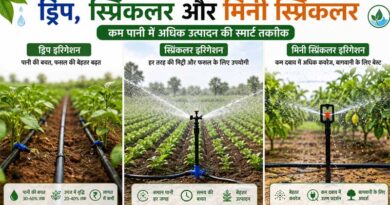 किसानों के लिए खुशखबरी! ड्रिप, स्प्रिंकलर और मिनी स्प्रिंकलर पर अनुदान के लिए आवेदन शुरू, जानें कैसे करें अप्लाई