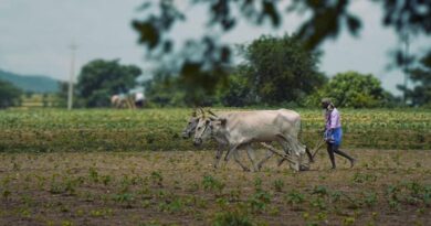 शिवपुरी: किसान पंजीयन में फर्जीवाड़ा: कंप्यूटर ऑपरेटर पर एफआईआर दर्ज