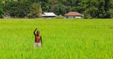 भारतीय कृषि के विकास को प्रभावित करने वाले प्रमुख कानून और उनके नकारात्मक प्रभाव