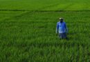 किसान पदयात्रा  : सरकार से हुई चर्चा के बाद भी आंदोलन रहेगा जारी