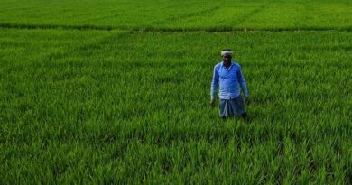 किसान पदयात्रा  : सरकार से हुई चर्चा के बाद भी आंदोलन रहेगा जारी