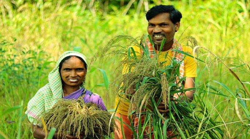 सीहोर: समर्थन मूल्य पर उपार्जन के लिए किसान पंजीयन में एग्रीस्टेक आईडी अनिवार्य