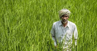 मंडी बोर्ड में 1400 से अधिक अधिकारी-कर्मचारियों को पदोन्नति, 30 से ज्यादा संवर्गों में मिली नई जिम्मेदारी