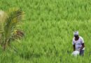 खाद्य प्रसंस्करण क्षेत्र में युवाओं और किसानों के लिए रोजगार के नए अवसर, यूपी सरकार ने शुरू किए प्रशिक्षण कार्यक्रम