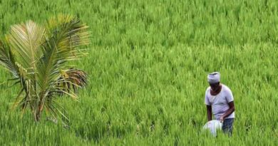 खाद्य प्रसंस्करण क्षेत्र में युवाओं और किसानों के लिए रोजगार के नए अवसर, यूपी सरकार ने शुरू किए प्रशिक्षण कार्यक्रम