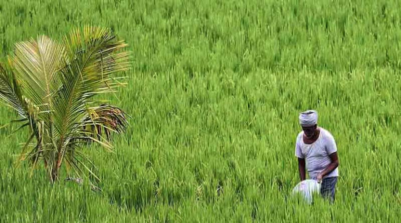 खाद्य प्रसंस्करण क्षेत्र में युवाओं और किसानों के लिए रोजगार के नए अवसर, यूपी सरकार ने शुरू किए प्रशिक्षण कार्यक्रम