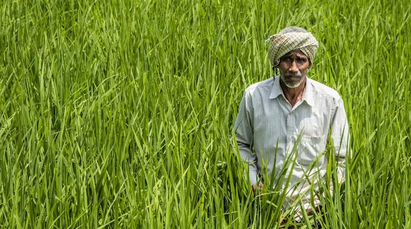 एम पी में आईएएस अधिकारियों के तबादले: सरकार ने किया बड़ा प्रशासनिक फेरबदल, 20 अधिकारियों के दायित्व बदले