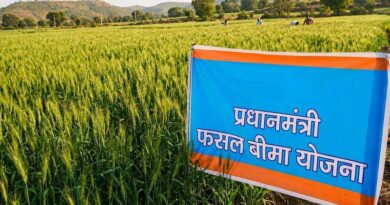 बड़वानी: अधिसूचित फसल का बीमा 31 जुलाई तक कराएं