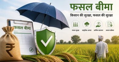 पांढुर्ना: 31 जुलाई तक फसल बीमा कराएं कृषक