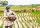 NIPU-2026 से यूरिया उत्पादन क्षमता बढ़ाने में मिलेगी मदद: FAI