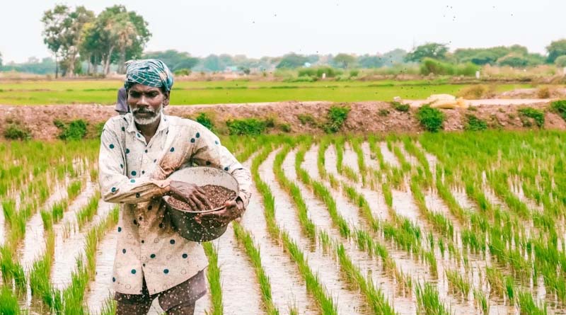 NIPU-2026 से यूरिया उत्पादन क्षमता बढ़ाने में मिलेगी मदद: FAI