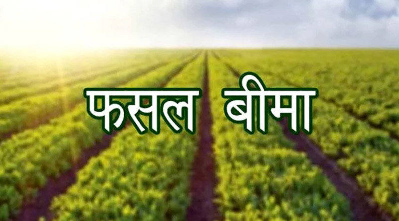 सूखा व अल्प वर्षा की आशंका को देखते हुए फसलों का बीमा कराएं