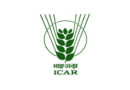 मानसून में देरी के बीच धान किसानों के लिए ICAR की एडवाइजरी, जानें क्या करें और क्या नहीं