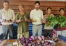 केवीके निकोबार के मार्गदर्शन से किसानों ने अपनाई नई खेती, अब हर साल हो रही लाखों की कमाई