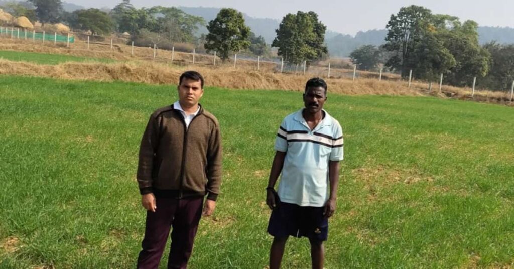 रायपुर: धान के बाद किसान ने खाली खेत में बोया गेहूं, अब कम लागत में हो रहा दोगुना फायदा