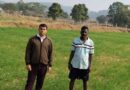 रायपुर: धान के बाद किसान ने खाली खेत में बोया गेहूं, अब कम लागत में हो रहा दोगुना फायदा  