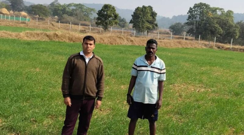 रायपुर: धान के बाद किसान ने खाली खेत में बोया गेहूं, अब कम लागत में हो रहा दोगुना फायदा  