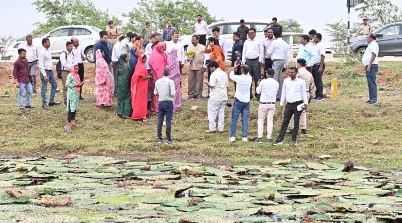 मखाना की खेती से बढ़ेगी किसानों की कमाई! छत्तीसगढ़ में 29 एकड़ में सफल उत्पादन, सरकार करेगी और विस्तार
