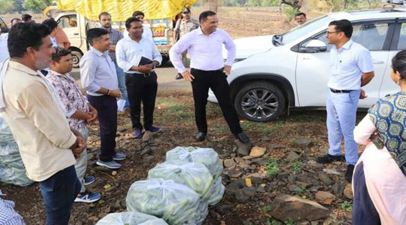 डॉ. खाड़े ने मोहनपुरा में संरक्षित खेती का किया अवलोकन
