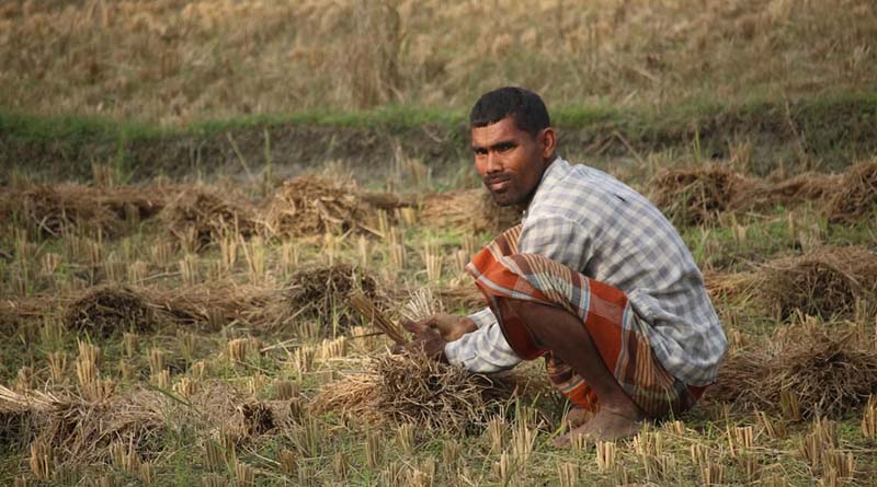 किसानों की समृद्धि का संकल्प : मध्य प्रदेश सरकार ने खोले राहत और विकास के नए द्वार