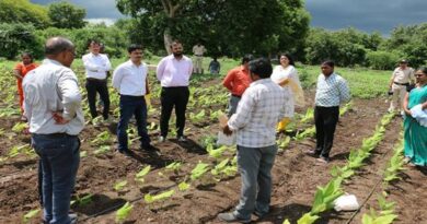 मध्यप्रदेश: जैविक खेती की मिसाल बने किसान उदय महाजन, बुरहानपुर कलेक्टर ने खेत पहुंचकर की सराहना
