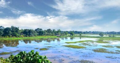 IMD Weather Update: मध्य भारत में मूसलाधार बारिश का अलर्ट, उत्तर-पश्चिम और पश्चिम भारत में भी बरसेंगे बादल
