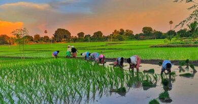 भारत में जून में 33% वर्षा की कमी दर्ज, एल नीनो के बीच जुलाई में मानसून की स्थिति सुधरी