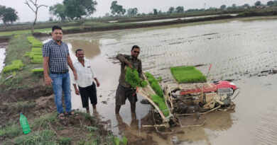 अब 2-3 घंटे में होगी 1 एकड़ धान की रोपाई, पैडी ट्रांसप्लांटर बना किसानों के लिए वरदान; समय और लागत दोनों में बड़ी बचत