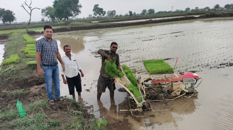 अब 2-3 घंटे में होगी 1 एकड़ धान की रोपाई, पैडी ट्रांसप्लांटर बना किसानों के लिए वरदान; समय और लागत दोनों में बड़ी बचत