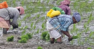 एन.आई.बी.एस.एम.द्वारा नैनो उत्पादों के प्रभाव के मूल्यांकन हेतु उन्नत वैज्ञानिक परीक्षण का संचालन