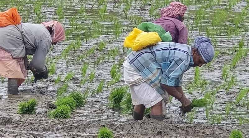 एन.आई.बी.एस.एम.द्वारा नैनो उत्पादों के प्रभाव के मूल्यांकन हेतु उन्नत वैज्ञानिक परीक्षण का संचालन