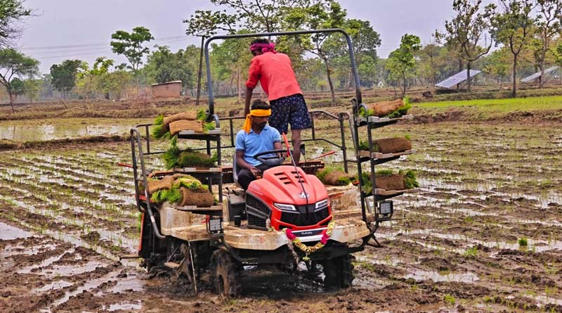 पैडी ट्रांसप्लांटर से आसान हुई धान की रोपाई, समय की बचत और 20% तक ज्यादा पैदावार की उम्मीद