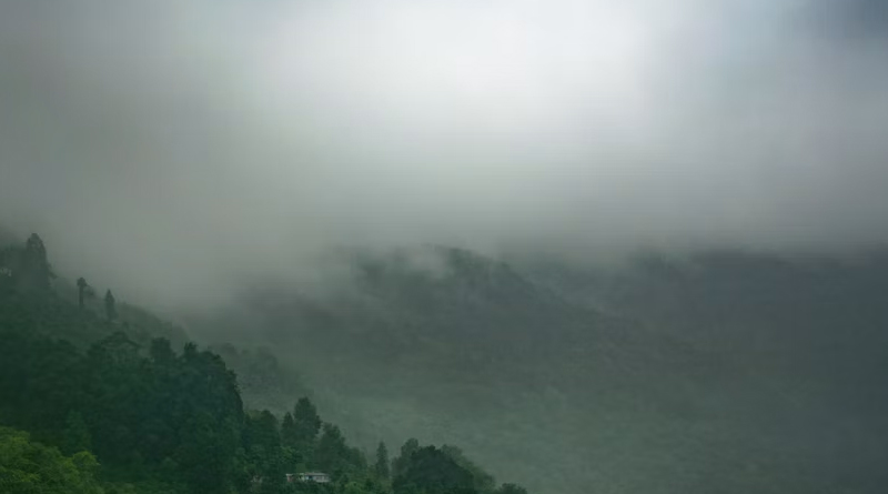 राजगढ़ : मौसम आधारित कृषि परामर्श का नियमित पालन करें - कृषि विभाग